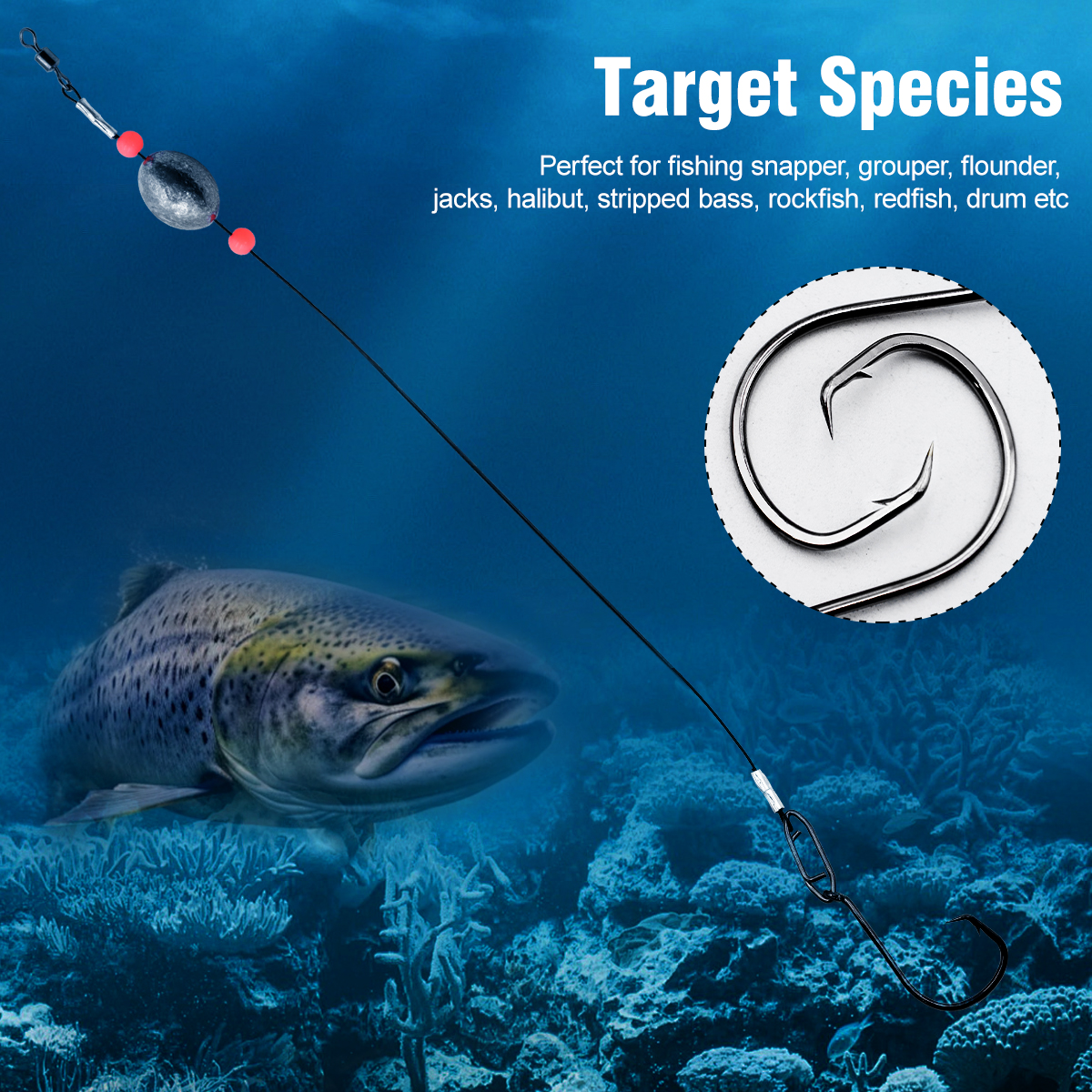 ZYZHE 2pcs Fishing Carolina Ri - Fishing Hook Circle のレビューと価格